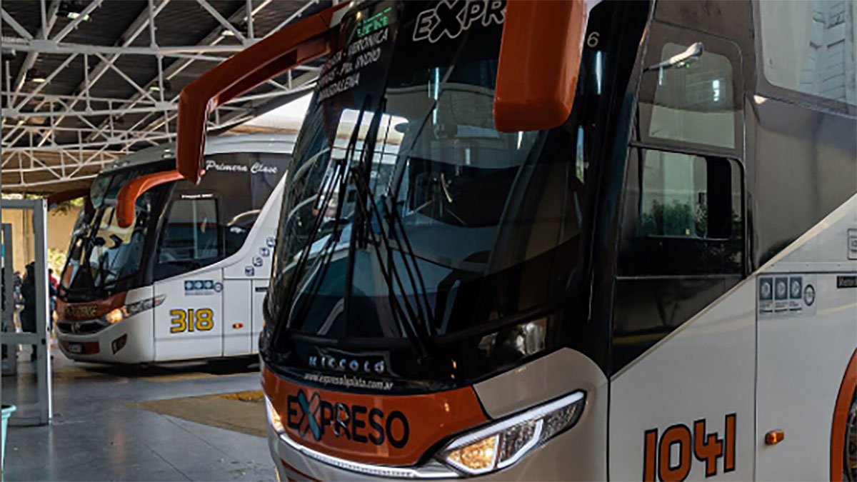 El transporte público se normaliza en La Plata pero el servicio a Mgd y Punta Indio sigue con esquema limitado