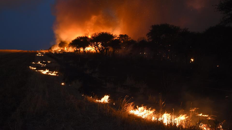 Emergencia agropecuaria: nuevo financiamiento y ANRs para productores afectados por incendios